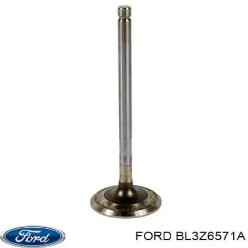 SS46052 Mahle Original Сальник клапана (Маслос'емниє), впуск/випуск