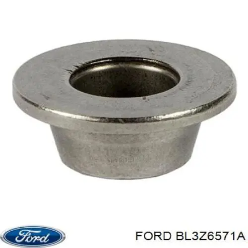 Сальник клапана (маслознімний), впуск/випуск Mahle Original SS46052 ціна, від 8.38 USD