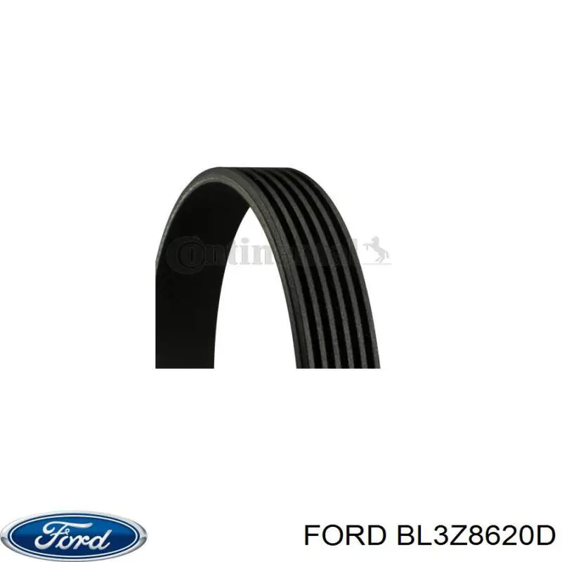 Клиновий ремінь Ford BL3Z8620D ціна, від 22.38 USD