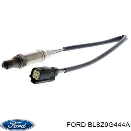 BL8Z9G444A Ford 