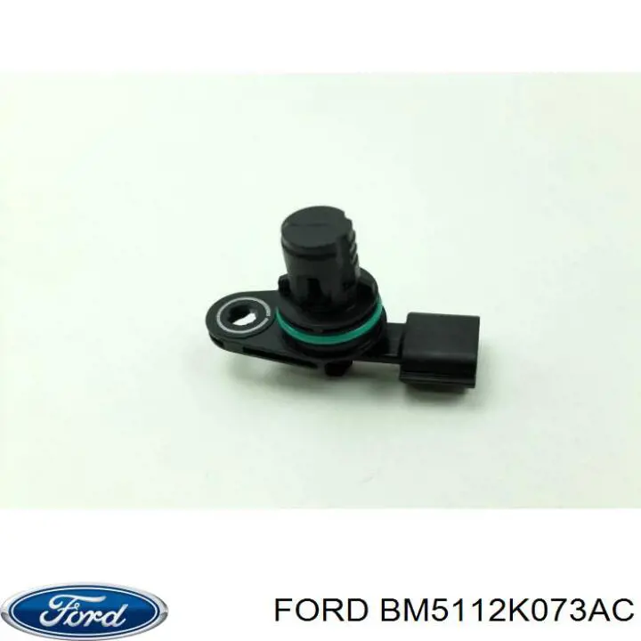 Купити BM5112K073AC Ford ДПРВ