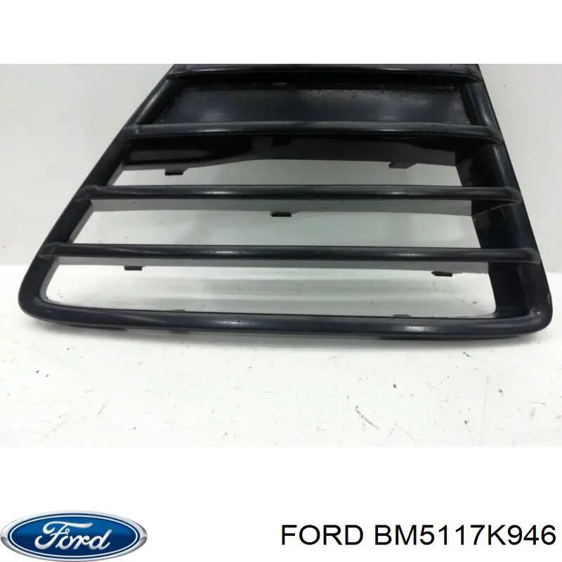 BM5117K946 Ford 