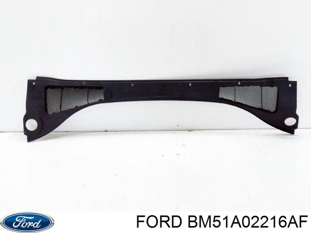 Водостік лобового скла, жабо Ford BM51A02216AF ціна, від 19.97 USD