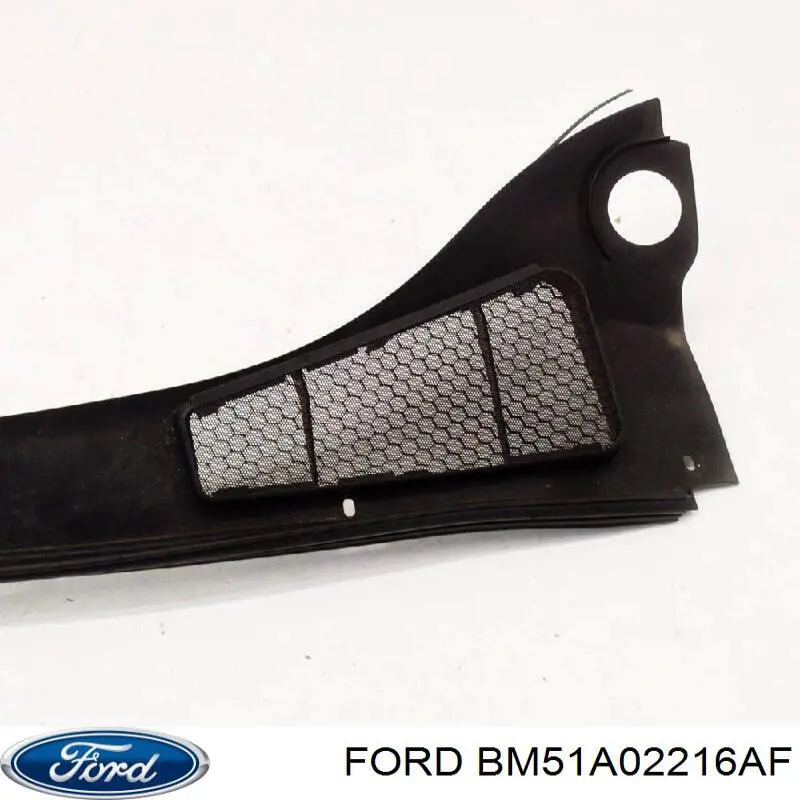 Купити BM51A02216AF Ford Водостік лобового скла, жабо