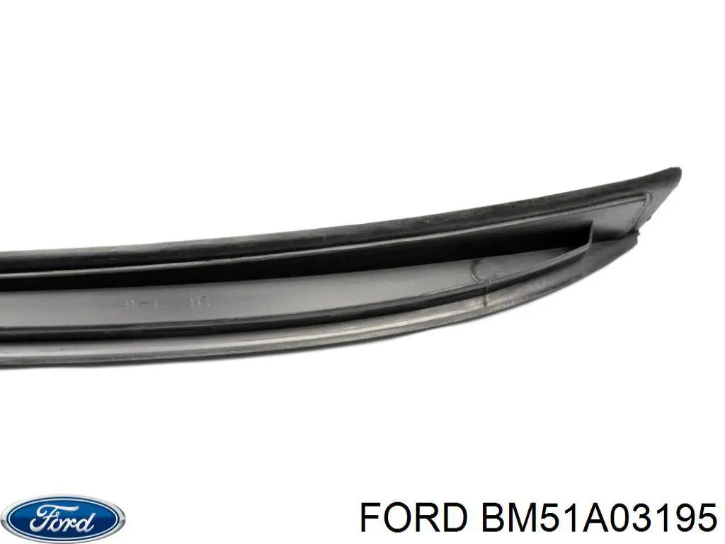 BM51A03195 Ford 