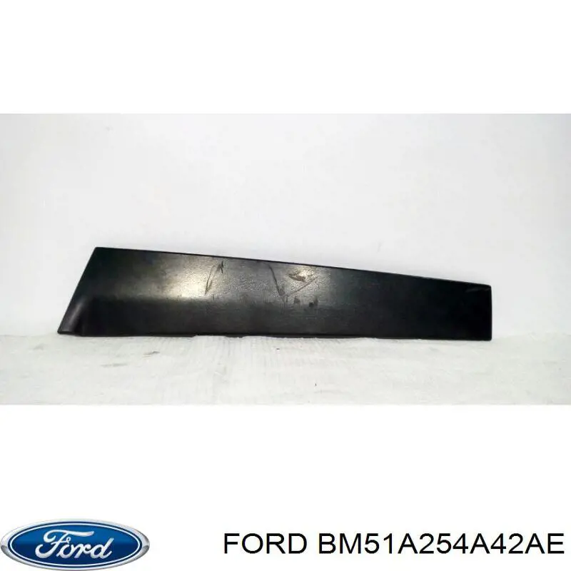 Накладка задньої двері, правої, вертикальна Ford 1708915