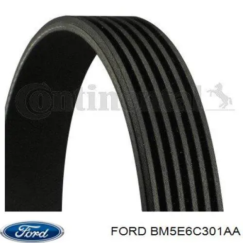 Купити BM5E6C301AA Ford Ремінь генератора