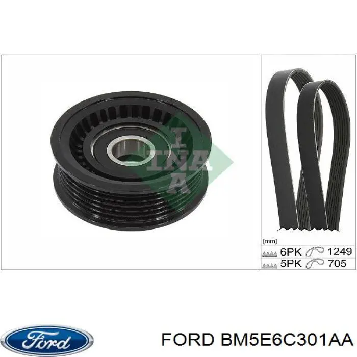 BM5E6C301AA Ford Поліклиновий ремінь