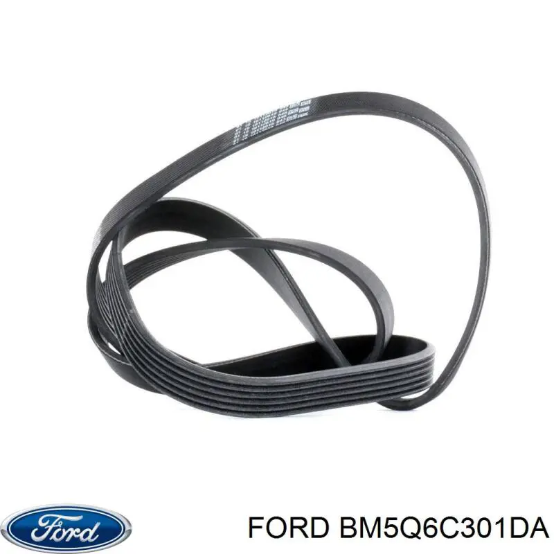 Купити BM5Q6C301DA Ford Ремінь генератора