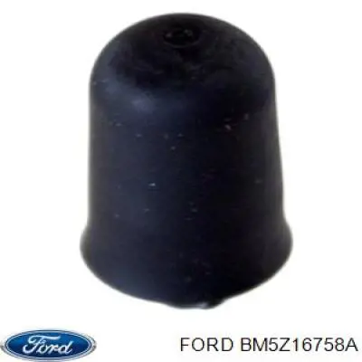 Купити BM5Z16758A Ford Буфер/відбійник капота