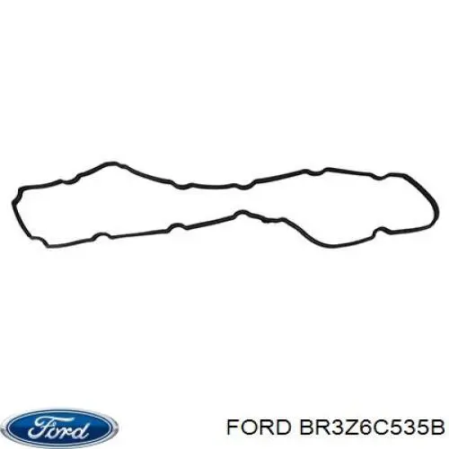 BR3Z6C535B Ford Кільце ущільнювальне свічкового колодязя