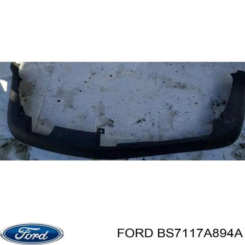 BS7117A894A Ford 