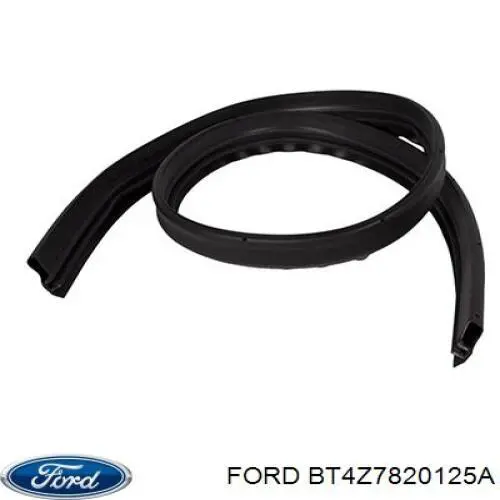 Двері передні ліві BT4Z7820125A Ford