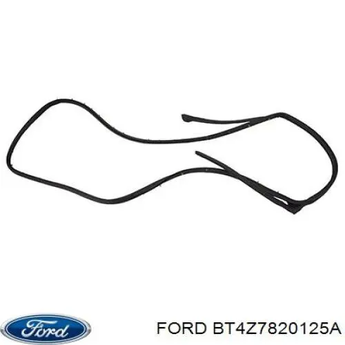 Купити BT4Z7820125A Ford Двері кабіни