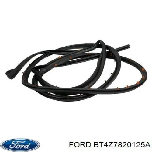 BT4Z7820125A Ford Дверь передня ліва