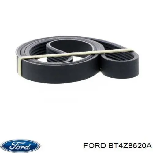 Купити BT4Z8620A Ford Ремінь генератора