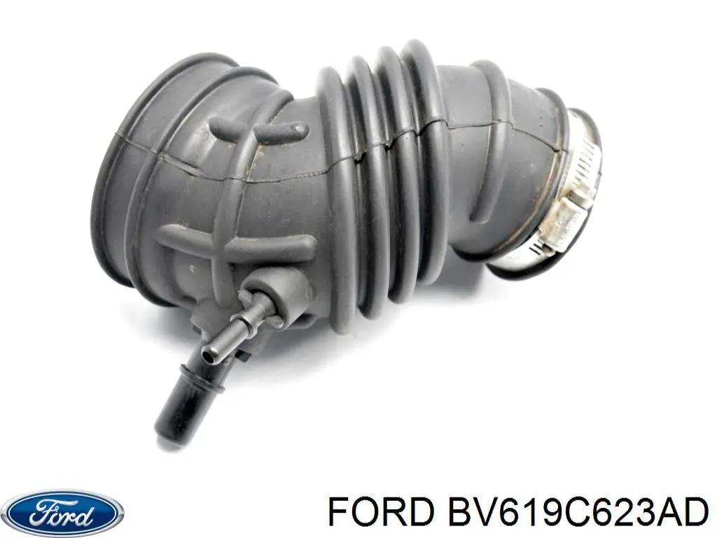 BV619C623AD Ford 