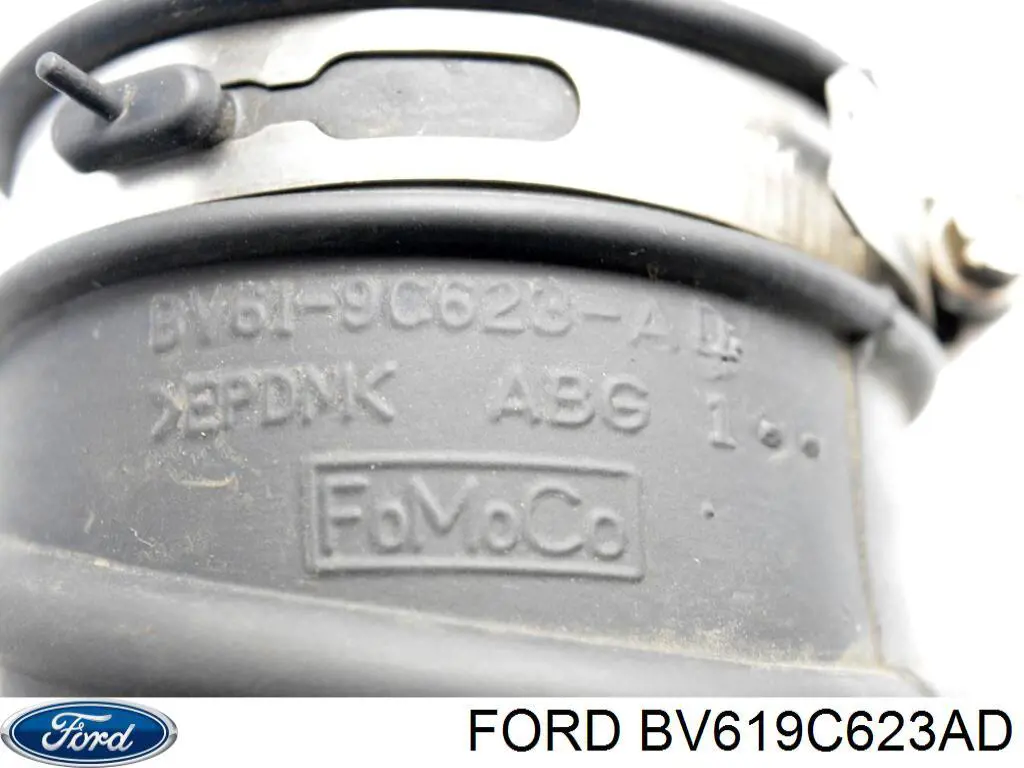  BV619C623AD Ford