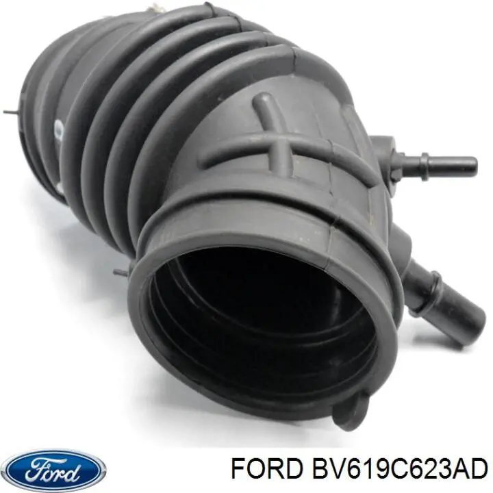 Купити BV619C623AD Ford 