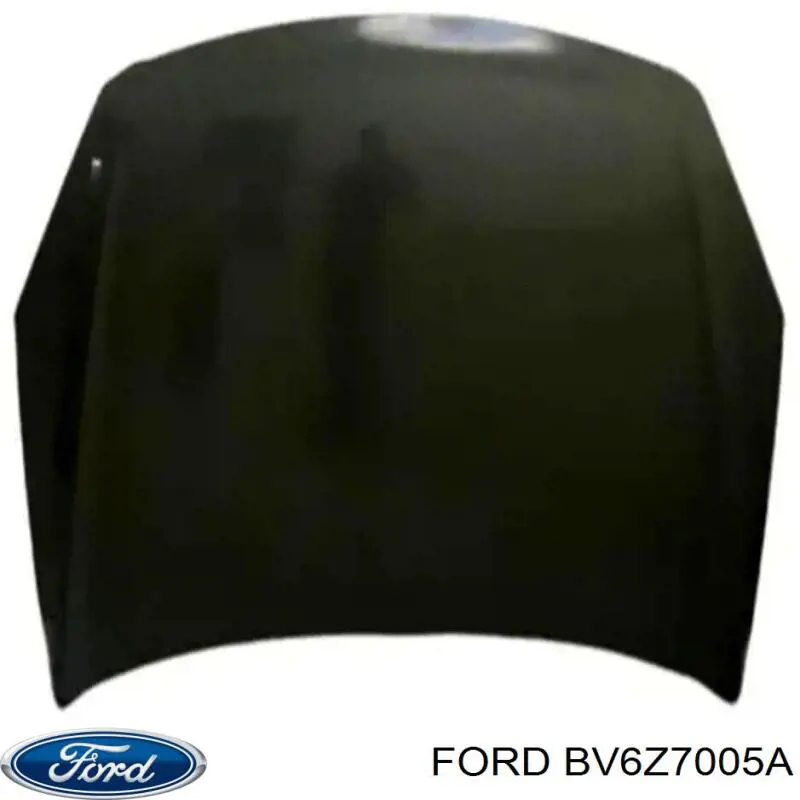 Купити BV6Z7005A Ford 