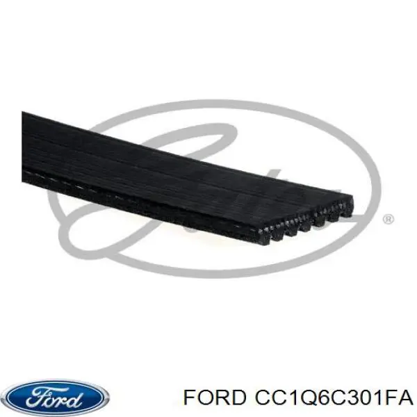 Клиновий ремінь Ford CC1Q6C301FA ціна, від 34.30 USD