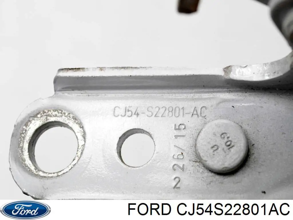 Купити 5243836 Ford Петля водійських дверей
