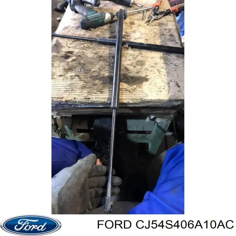 Купити CJ54S406A10AC Ford Амортизатор двері багажника