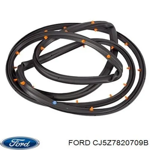Купити CJ5Z7820709B Ford 