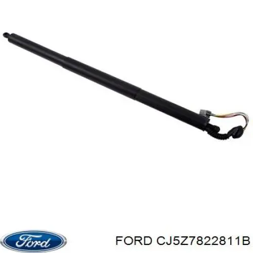 Купити CJ5Z7822811A Ford Дверний шарнір водійських дверей