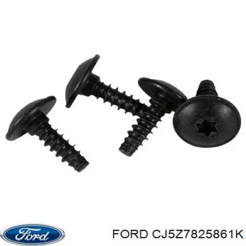  Ford CJ5Z7825861K ціна, від 12.67 USD
