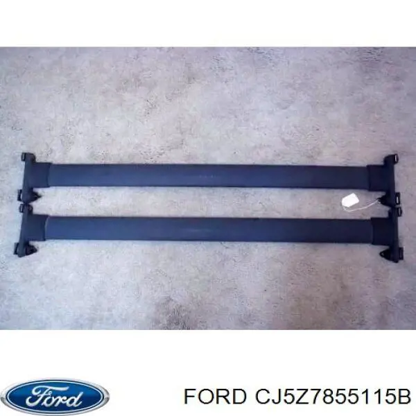 Рейлінг даху лівий Ford CJ5Z7855115B ціна, від 75.93 USD