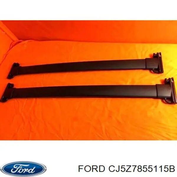 Купити CJ5Z7855115B Ford Рейлінг даху лівий