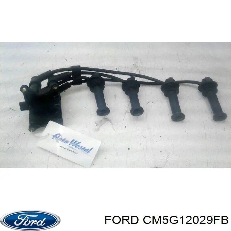 Котушка запалювання CM5G12029FB Ford