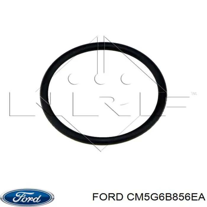 Купити CM5G6B856EA Ford Радіатор масляний