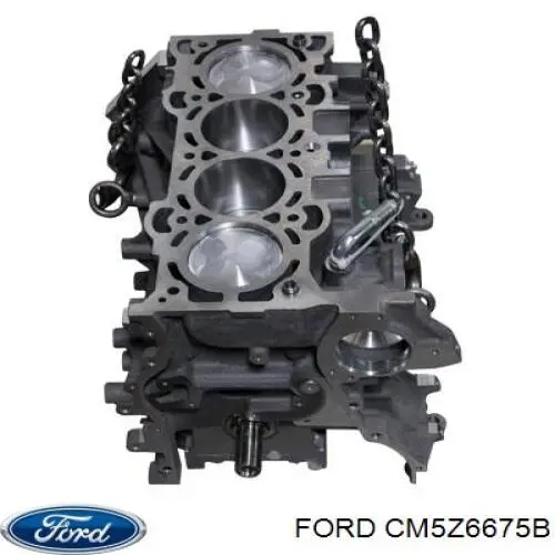 Купити CM5Z6675B Ford Захист двигуна