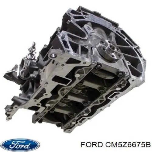 Купити CP9Z6675A Ford Захист двигуна