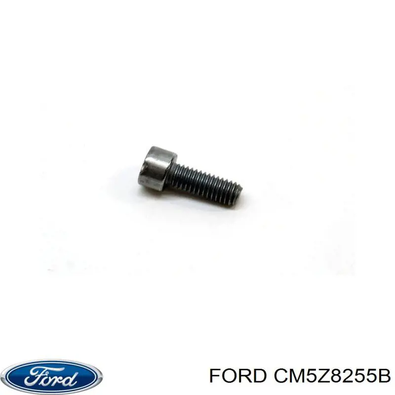 CM5Z8255B Ford 