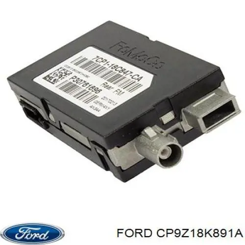 CP9Z18K891A Ford 