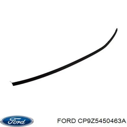 CP9Z5450463A Ford Молдинг даху, лівий
