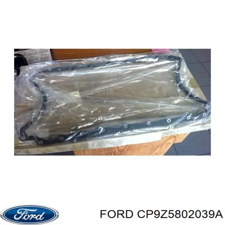  CP9Z5802039A Ford