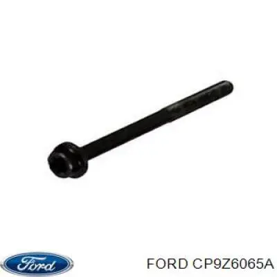 CP9Z6065A Ford 