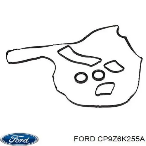 CP9Z6K255A Ford Башмак натягувача ланцюга ГРМ