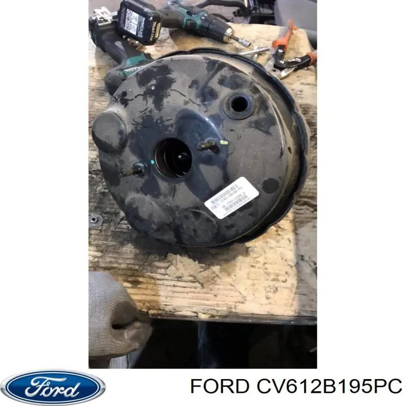 CV612B195PC Ford 
