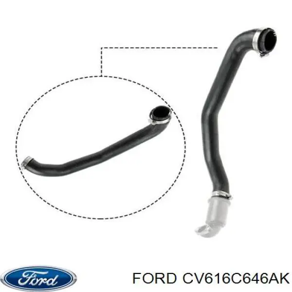 Купити CV616C646AK Ford Шланг/патрубок интеркуллера
