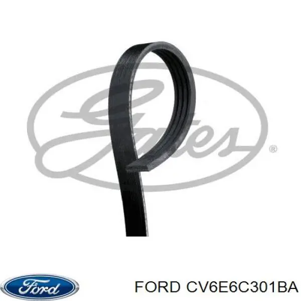 Купити 5160290 Ford Ремінь генератора