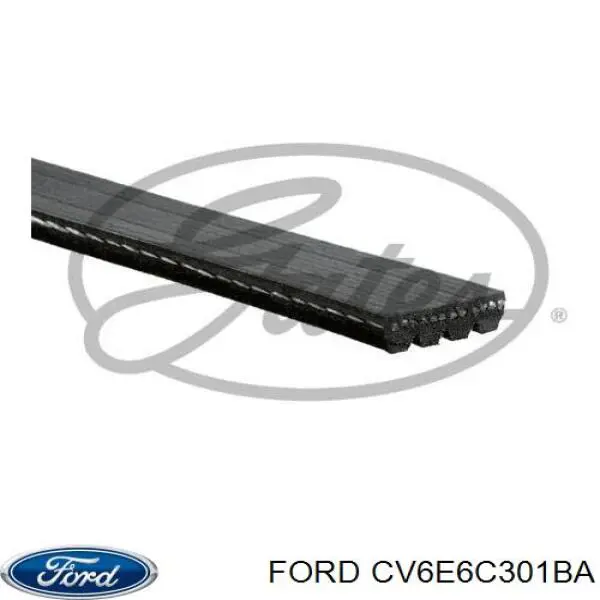  CV6E6C301BA Ford