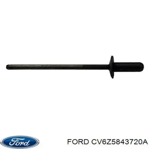 CV6Z5843720A Ford Ущільнювач задніх 3/5-х дверей