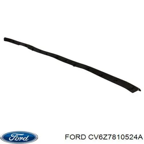 CV6Z7810524A Ford 