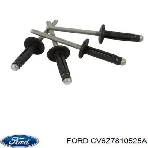CV6Z7810525A Ford 
