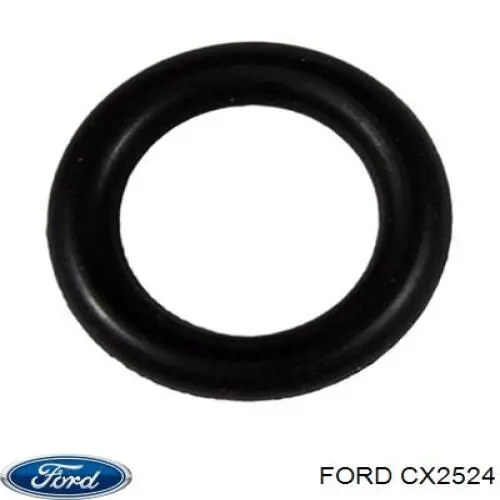 Купити CX2524 Ford Абсорбер парів